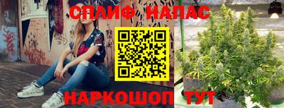 прущие крисы Тула