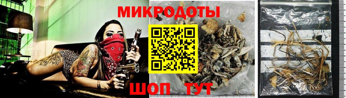 Галлюциногенные грибы Psilocybe  Вход с VPN  Белово  Галлюциногенные грибы прущие грибы 