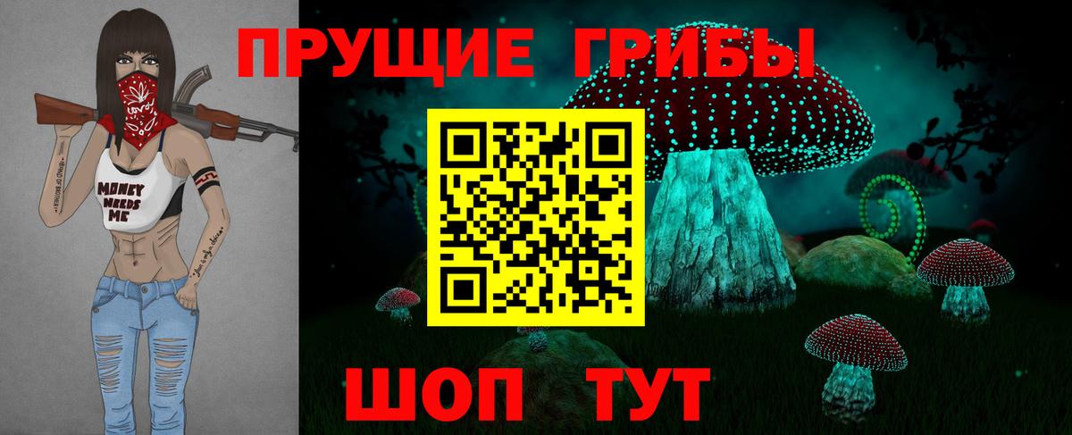 Псилоцибиновые грибы мицелий Белово